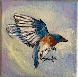 Martin pêcheur voltigeant*