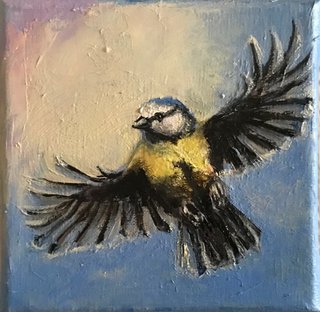 Mésange voltigeant*