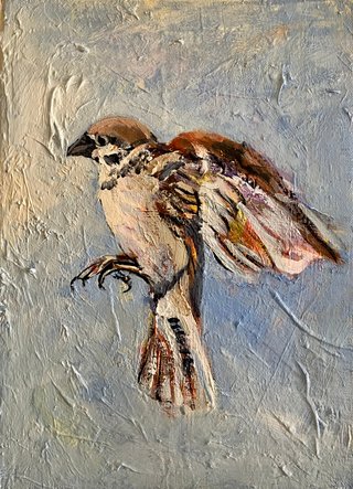 Un moineau voltigeant 3