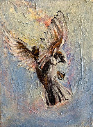 Un moineau voltigeant 6
