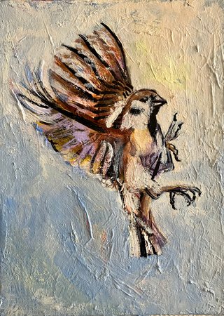 Un moineau voltigeant 2