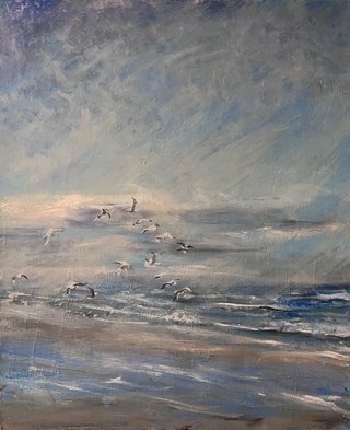 Where Seabirds Fly